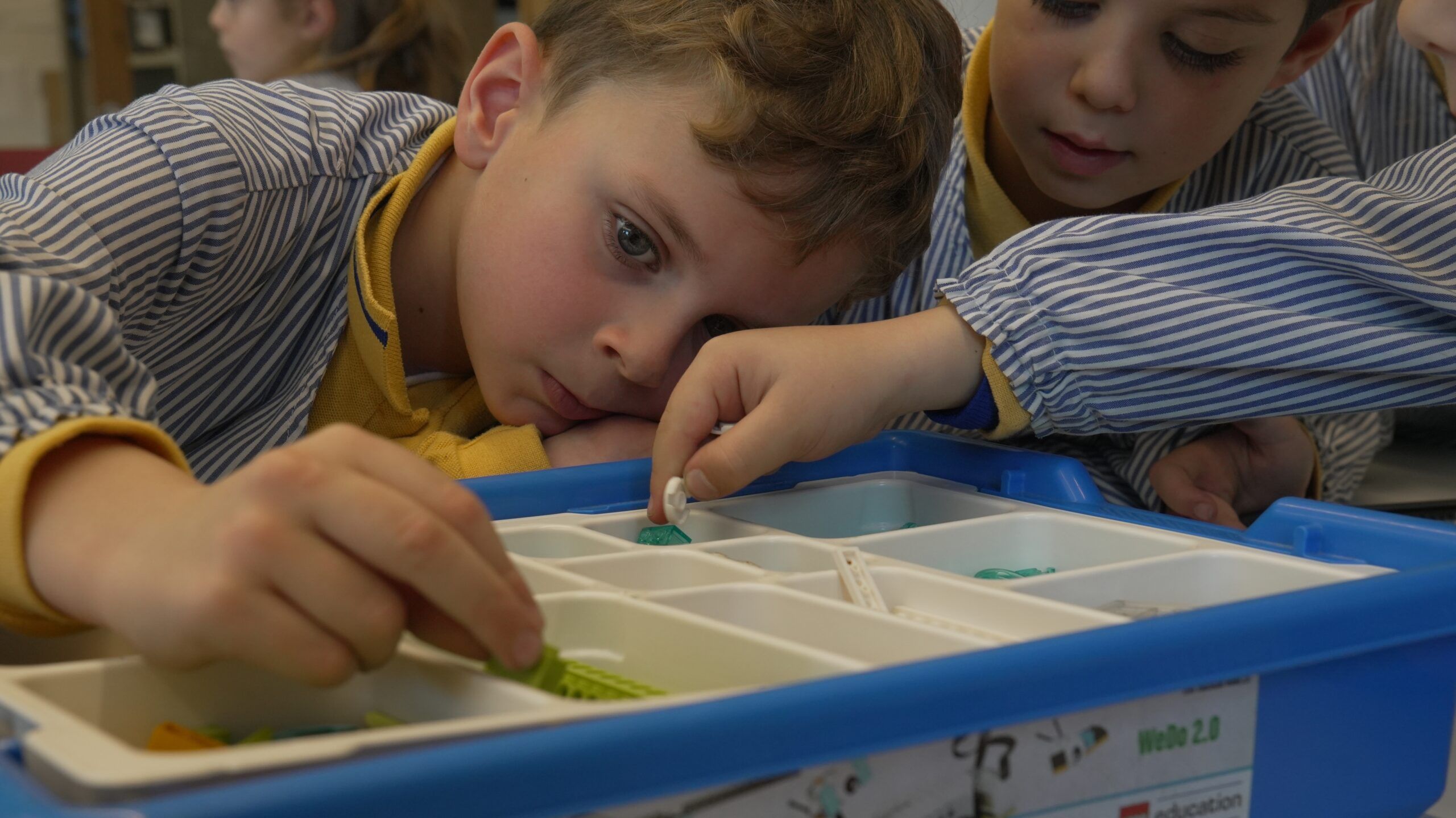 Educació Primària 2 Acesco - 34