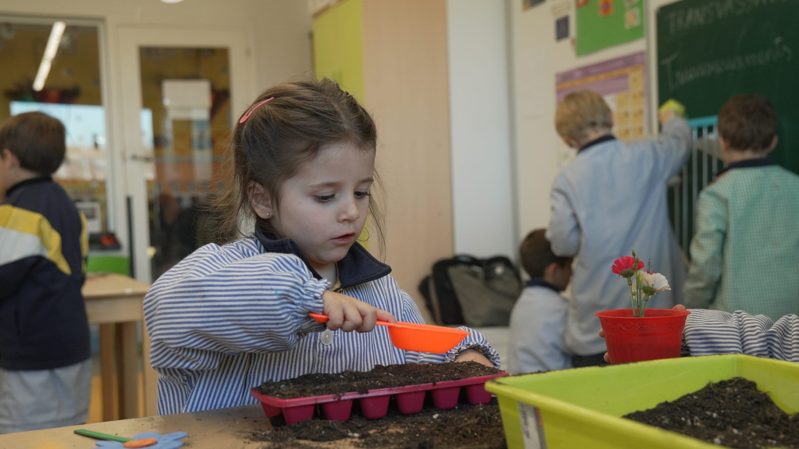 Educació Primària 54 Acesco - 55