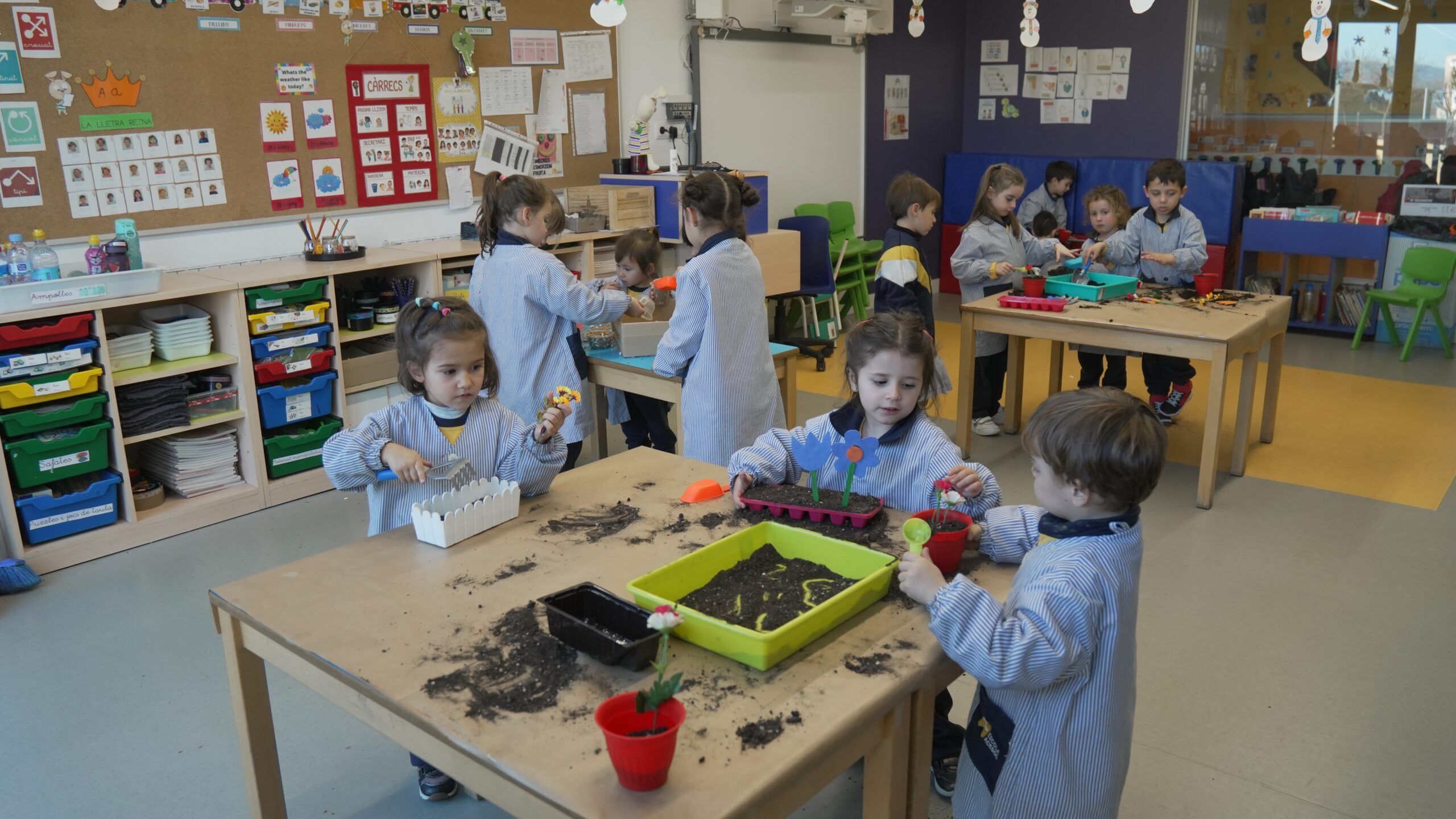 Educació Primària 55 Acesco - 56