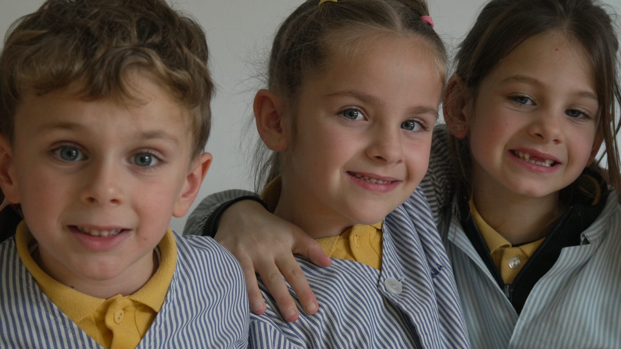 Educació Primària 99 valors